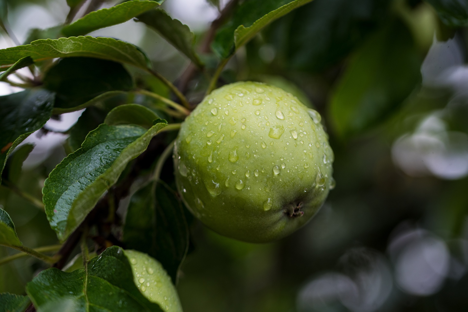 Agricultural biosurfactant products
