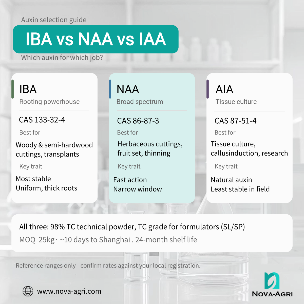 Infographic comparing IBA, NAA, and IAA auxins for rooting cuttings, stability, and agricultural applications.