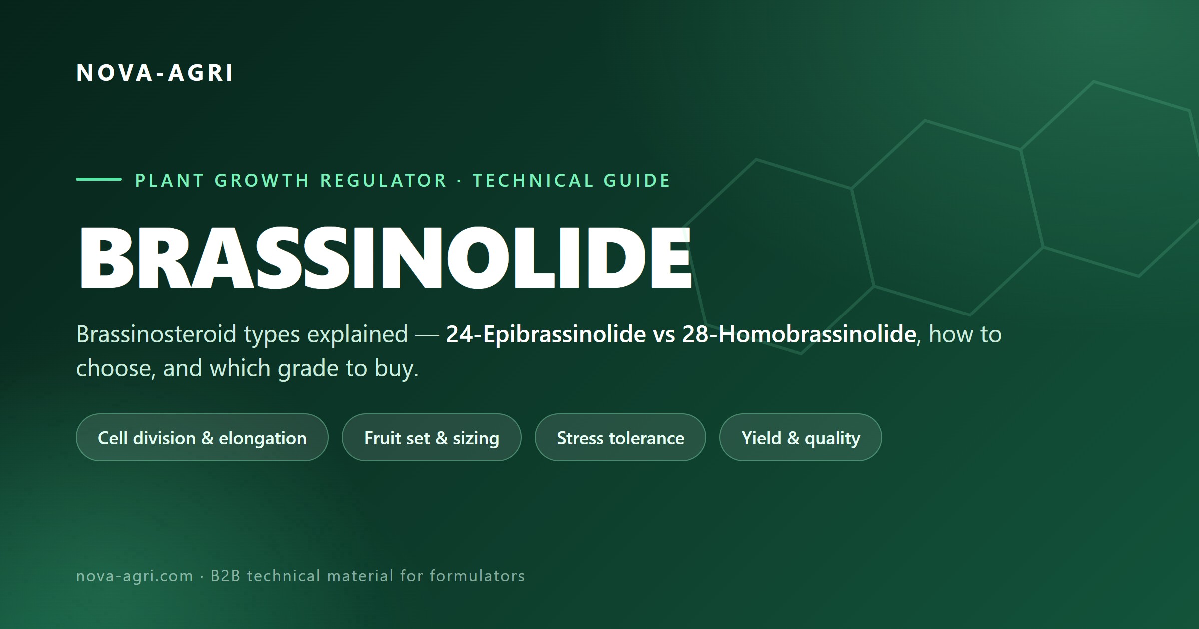 Brassinolide and brassinosteroid PGRs explained: 24-epibrassinolide vs 28-homobrassinolide for cell division, fruit set, stress tolerance and yield
