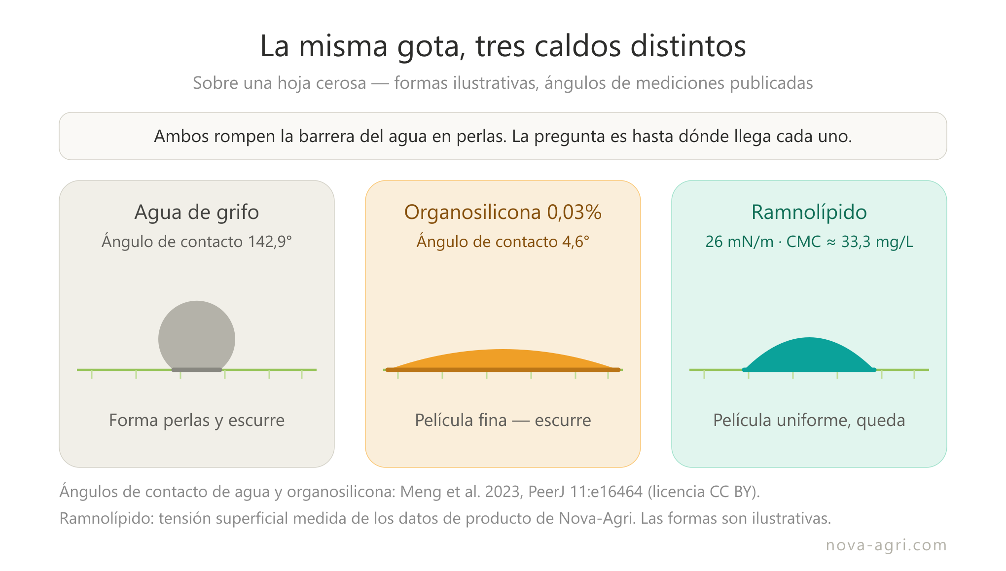 Comportamiento de la gota sobre una hoja cerosa — agua en perla a 142,9°, organosilicona en película a 4,6° con riesgo de escurrimiento y ramnolípido extendido uniforme a 26 mN/m